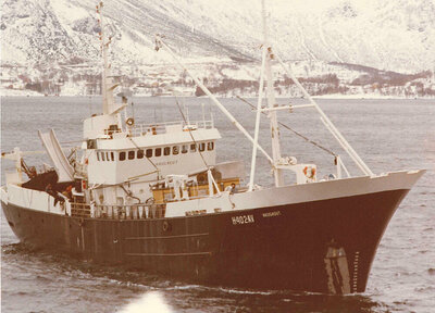 Yno 141 Haugagut